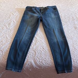 William Rast ankle skinny jeans